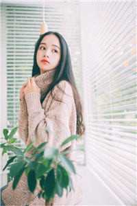 一天升一级，你想退婚就退呗独孤婉清林尘小说完结_最热门小说一天升一级，你想退婚就退呗独孤婉清林尘