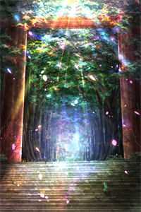 风流桃运小村医(春桃张二虎)热门小说阅读_免费完结小说风流桃运小村医春桃张二虎
