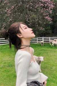 江述杨若薇（让你立人设，你直接成神了？）最新热门小说_让你立人设，你直接成神了？(江述杨若薇)精彩小说