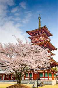 四合院：开局新疆未婚妻带弟来投张楠马保国完整版免费阅读_免费完整版小说四合院：开局新疆未婚妻带弟来投张楠马保国