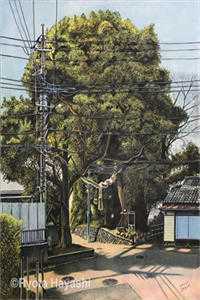 被开除后，我打造核废水清除计划(苏秦赵荣光)全本免费小说_全本免费小说被开除后，我打造核废水清除计划苏秦赵荣光
