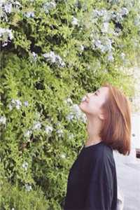 天才三宝：妈咪她又掉马甲了战司寒叶初夏在线免费小说_完本小说天才三宝：妈咪她又掉马甲了战司寒叶初夏