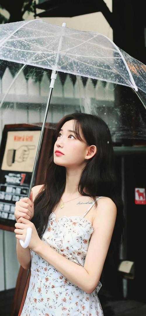 通房上位日记：无欲无求让他发疯苏清婉林冷殇热门小说排行_小说免费阅读无弹窗通房上位日记：无欲无求让他发疯苏清婉林冷殇