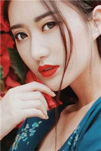 已完结小说春日豪赌梁数林旭_春日豪赌梁数林旭最热门小说