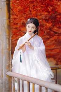我跟我的娃娃亲女总裁(江小臣苏若初)最新全本小说_最新免费小说我跟我的娃娃亲女总裁江小臣苏若初