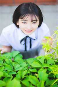 志在千里(老张陈冰)完本小说_小说完结版志在千里(老张陈冰)