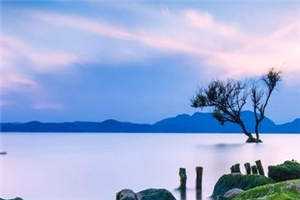 入夜，墨总被娇软小撩精钓成翘嘴(白蕴夏墨宴舟)最新热门小说_小说完整版免费阅读入夜，墨总被娇软小撩精钓成翘嘴白蕴夏墨宴舟