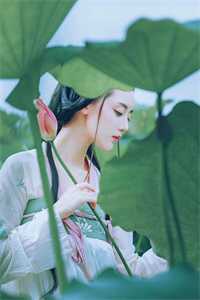 小说完结版陆总，夫人说这婚迟早要离(宁芙傅深)_陆总，夫人说这婚迟早要离宁芙傅深小说完结版