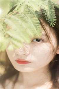 免费小说在哪看荒野求生：从荒岛开始签到(李慕贝爷)_荒野求生：从荒岛开始签到李慕贝爷完结的热门小说