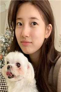 霸总歇歇吧，夫人都走三年了时吟顾寒迟最新完本小说推荐_小说免费完结霸总歇歇吧，夫人都走三年了(时吟顾寒迟)