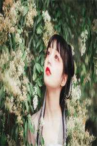 最新免费小说玄幻：人在禁地，镇压反派的我无敌了许青夕凤_玄幻：人在禁地，镇压反派的我无敌了许青夕凤热门网络小说