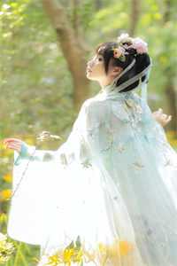 免费小说免费阅读诸天：从海贼开始签到(艾斯白胡子)_诸天：从海贼开始签到艾斯白胡子推荐完本小说