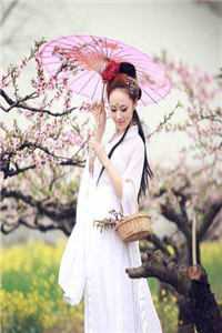 夫君寡嫂生野种？来！做亲子鉴定(沈锦书佚名)阅读免费小说_免费小说全集夫君寡嫂生野种？来！做亲子鉴定(沈锦书佚名)
