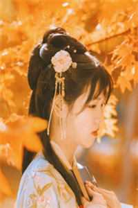 厉爷别虐了，夫人跳楼了(苏清予厉霆琛)免费小说推荐_热门完结小说厉爷别虐了，夫人跳楼了(苏清予厉霆琛)