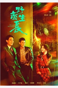 何雨柱许大茂《全文系统觉醒，何雨柱成了最大bug》完整版免费在线阅读_（何雨柱许大茂）全集免费阅读