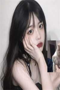 开局被逮捕，反手拍出树先生韩舟安岚热门完本小说_完结版小说开局被逮捕，反手拍出树先生韩舟安岚