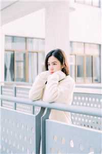 桃色仕途陈斌高婉君完结版小说阅读_免费小说阅读桃色仕途(陈斌高婉君)