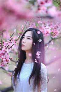 昔去雪如花梵启垣梵语卿完整免费小说_完结热门小说昔去雪如花(梵启垣梵语卿)