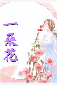 晚风微雨问海棠(叶海棠江逸城)最新完本小说_完本小说晚风微雨问海棠(叶海棠江逸城)