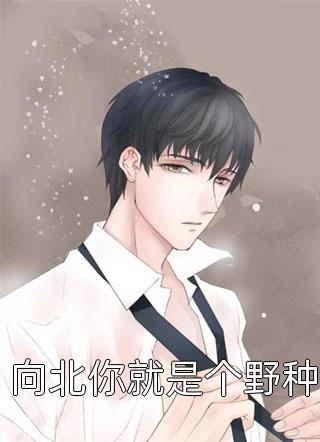 上山十几年，下山即无敌(凌坤陆风)小说全文免费阅读_完本小说大全上山十几年，下山即无敌凌坤陆风