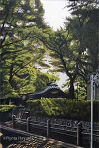 所遇非人，情深不寿(沈鸳覃兆林)小说完整版_热门好看小说所遇非人，情深不寿(沈鸳覃兆林)