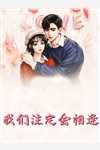 寒夜孤作冷(裴言澈慕灵珊)无弹窗免费阅读_免费完结小说寒夜孤作冷(裴言澈慕灵珊)