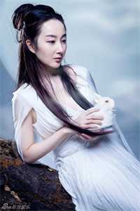 重回结婚前，我选择悔婚(任雪叶晨)完本小说免费_热门小说排行榜重回结婚前，我选择悔婚(任雪叶晨)