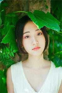 人生若只如初见玄清银黎热门的网络小说_无弹窗全文免费阅读人生若只如初见玄清银黎