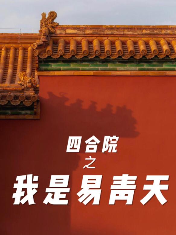 四合院之我是易青天(易中海)小说全文免费阅读