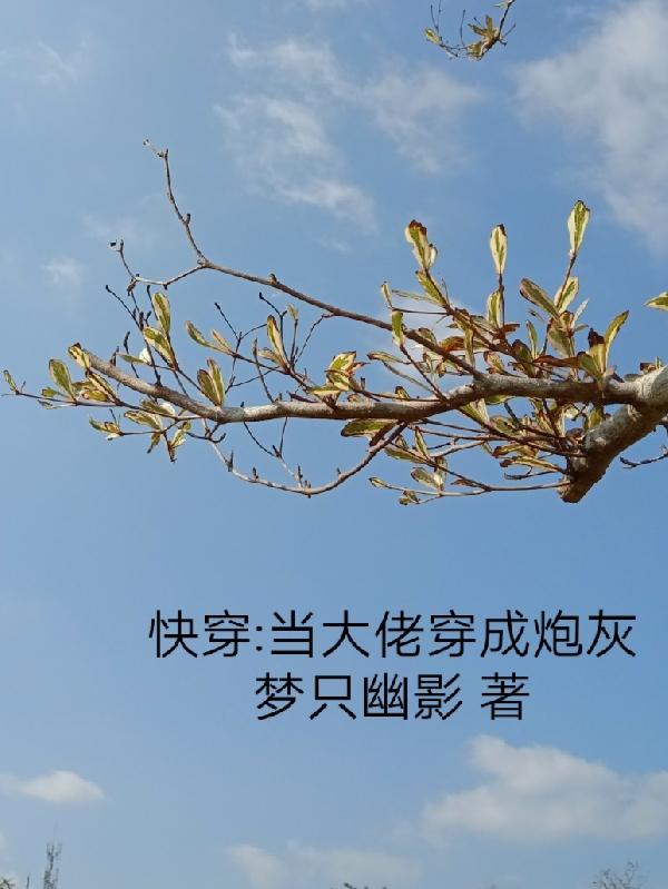 快穿，当大佬穿成炮灰(林枢)小说全文免费阅读