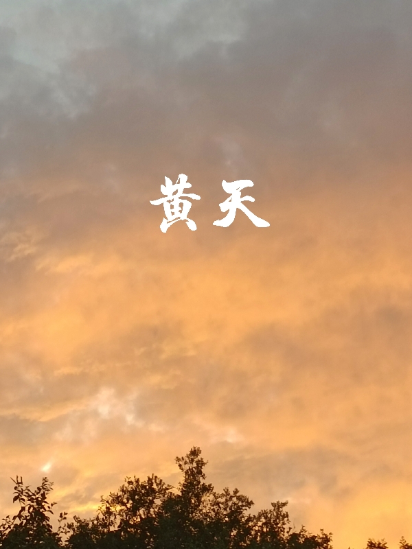 黄天全本免费阅读,赵无名小说全文