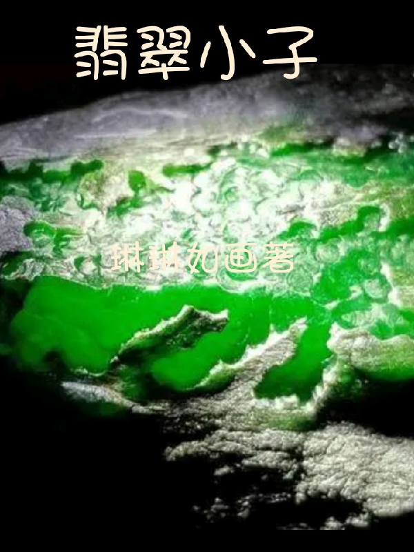 翡翠小子完整版在线阅读(主角林枫)