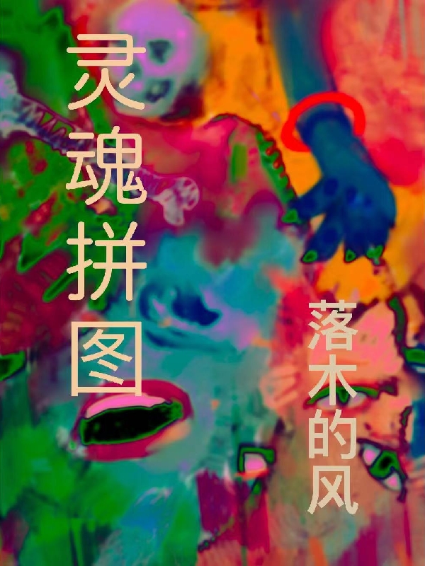 《灵魂拼图》小说章节列表免费试读林晚小说全文