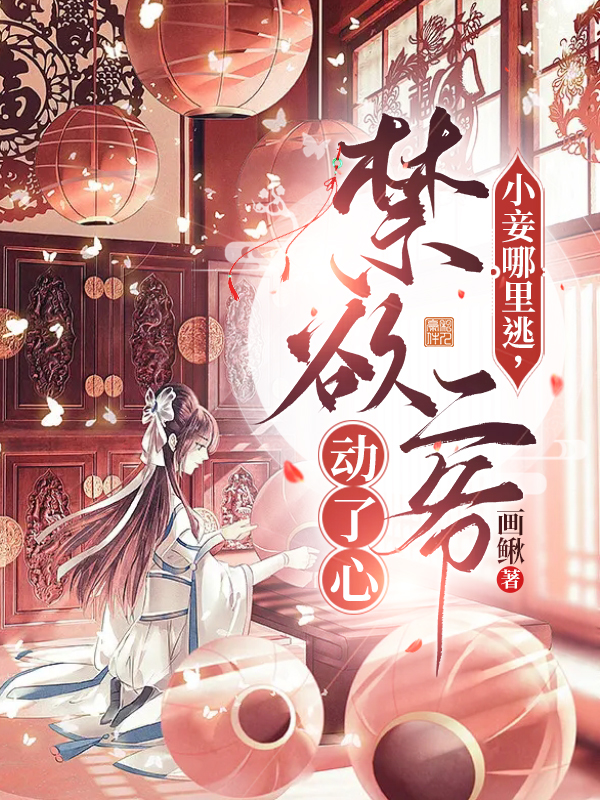 《小妾哪里逃，禁欲二爷动了心》主角叶苏安齐瑾辰小说免费阅读最新章节