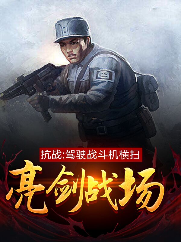 抗战：驾驶战斗机横扫亮剑战场最新章节,小说抗战：驾驶战斗机横扫亮剑战场无弹窗(秦风)