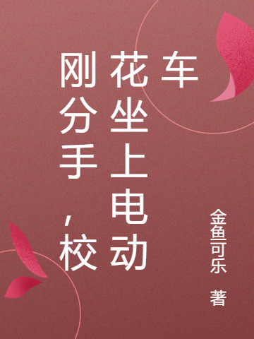 刚分手，校花坐上电动车全本免费阅读,林枫小说全文