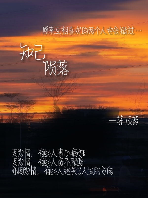 知己陨落(苏洛霍辰)小说全文免费阅读