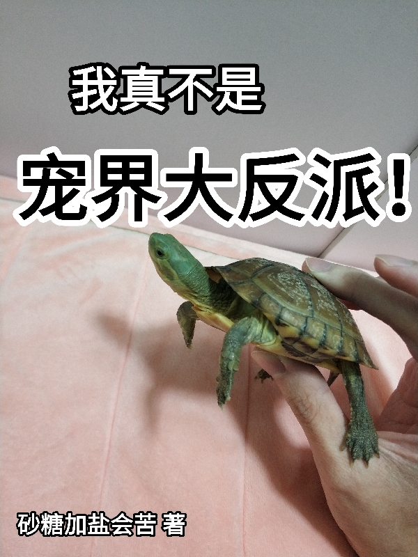 我真不是宠界大反派全文在线阅读秦时小说全本无弹窗