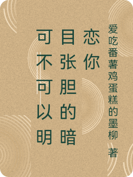 可不可以明目张胆的暗恋你(程妤林炫)小说最新章节