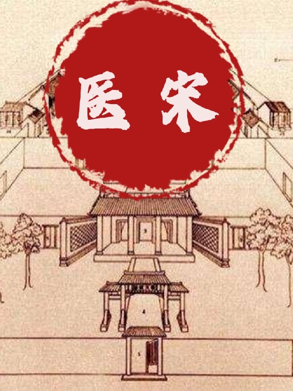 医宋赵白小说全文免费阅读