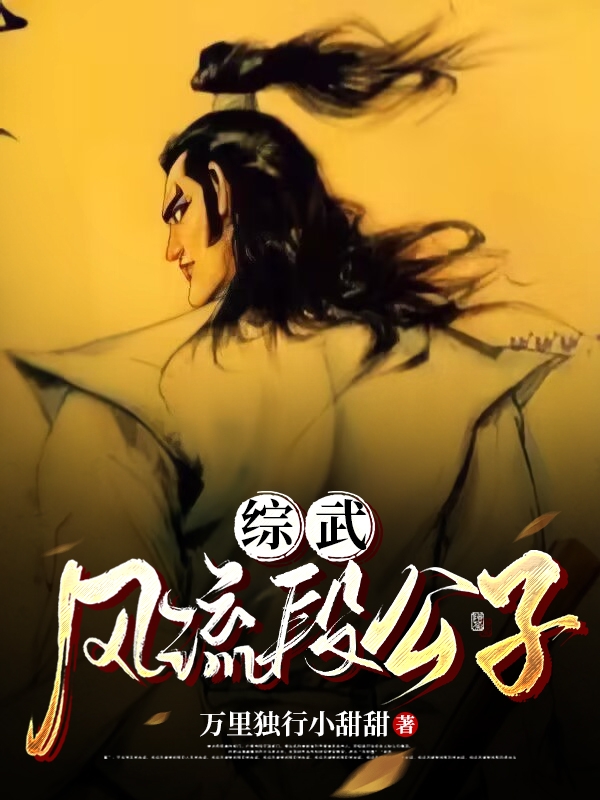 《综武：风流段公子》小说章节列表免费试读段誉小说全文