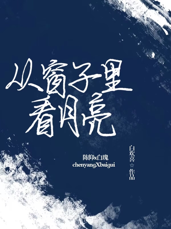 从窗子里看月亮全本免费阅读,白瑰,陈仰小说全文