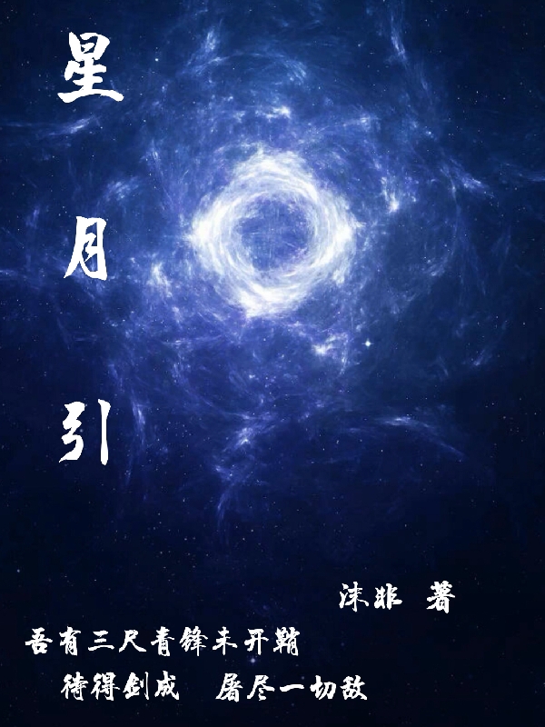 凌沫,叶天冷小说《星月引》全文阅读