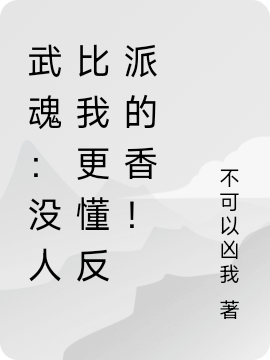 武魂：没人比我更懂反派的香！无删减全文免费看，主角丁浩