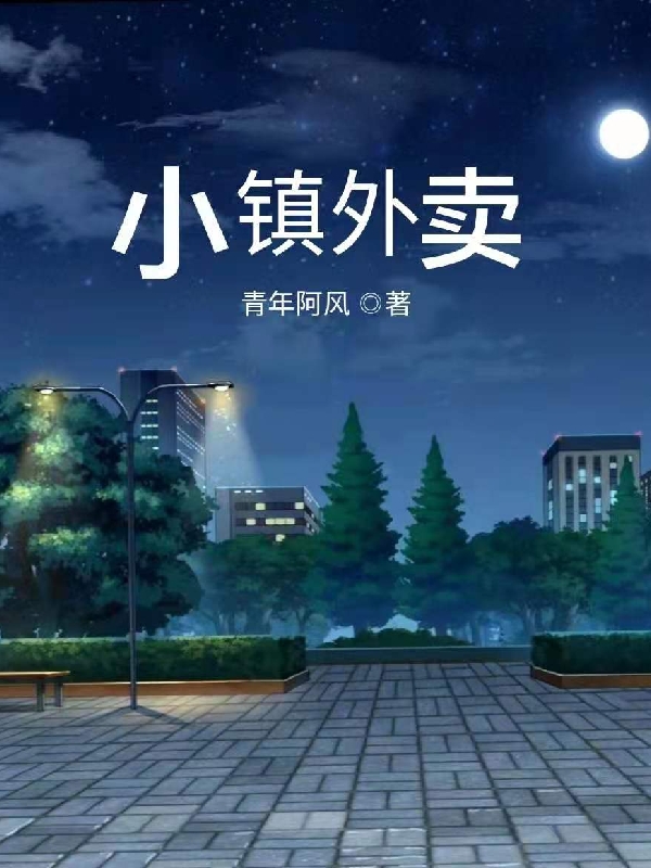 小镇外卖徐风小说全文免费阅读