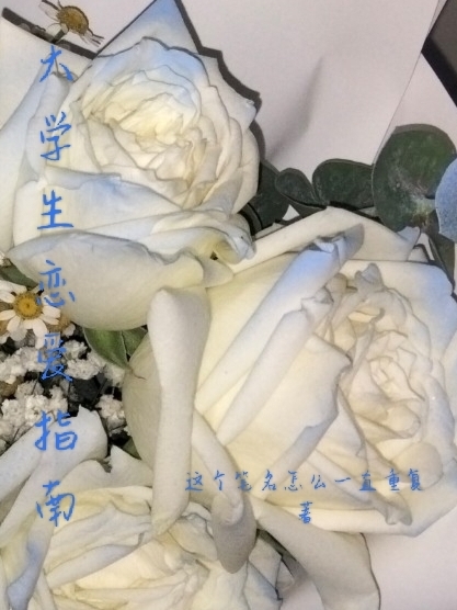 大学生恋爱指南最新章节,小说大学生恋爱指南无弹窗(宋妍,林墨)