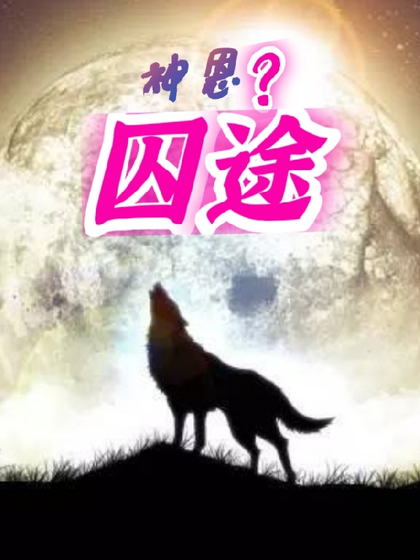 神恩？囚途完整版在线阅读(主角时宇)