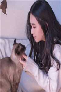 替嫁真千金她美翻了（苏瓷傅南城）全文免费阅读无弹窗大结局_（苏瓷傅南城）替嫁真千金她美翻了小说最新章节列表_笔趣阁（苏瓷傅南城）