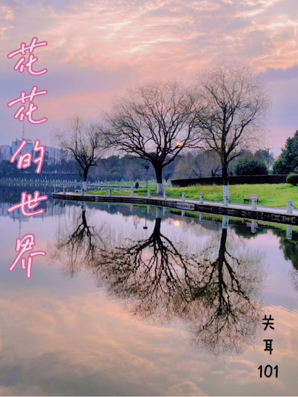 花花的世界安宁,陆暻的小说免费阅读完整版