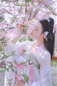人在局中：赤子野心（高宏姜漫）全文免费阅读无弹窗大结局_(人在局中：赤子野心免费阅读全文大结局)最新章节列表_笔趣阁（人在局中：赤子野心）